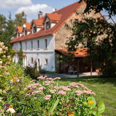 Villa Greta Świerzawa Exteriér fotografie