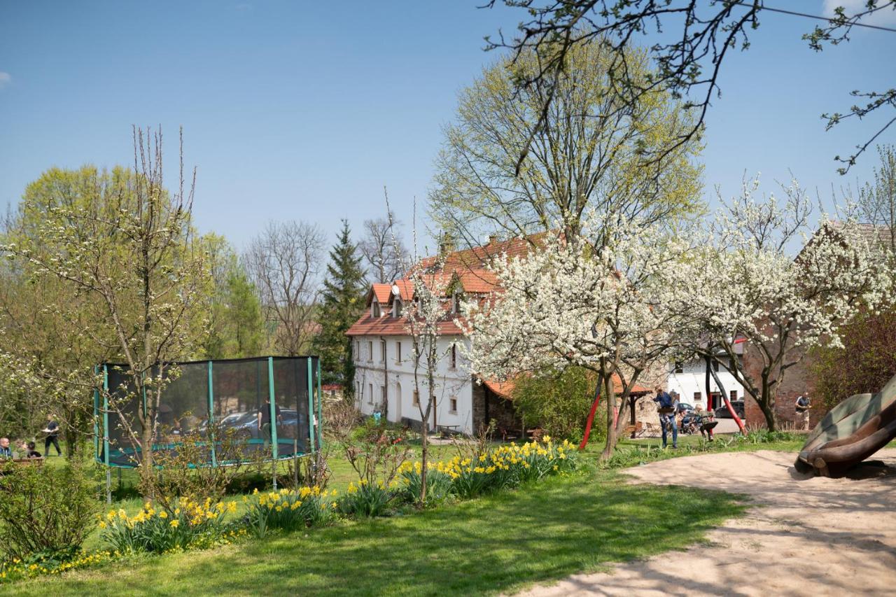 Villa Greta Świerzawa Exteriér fotografie