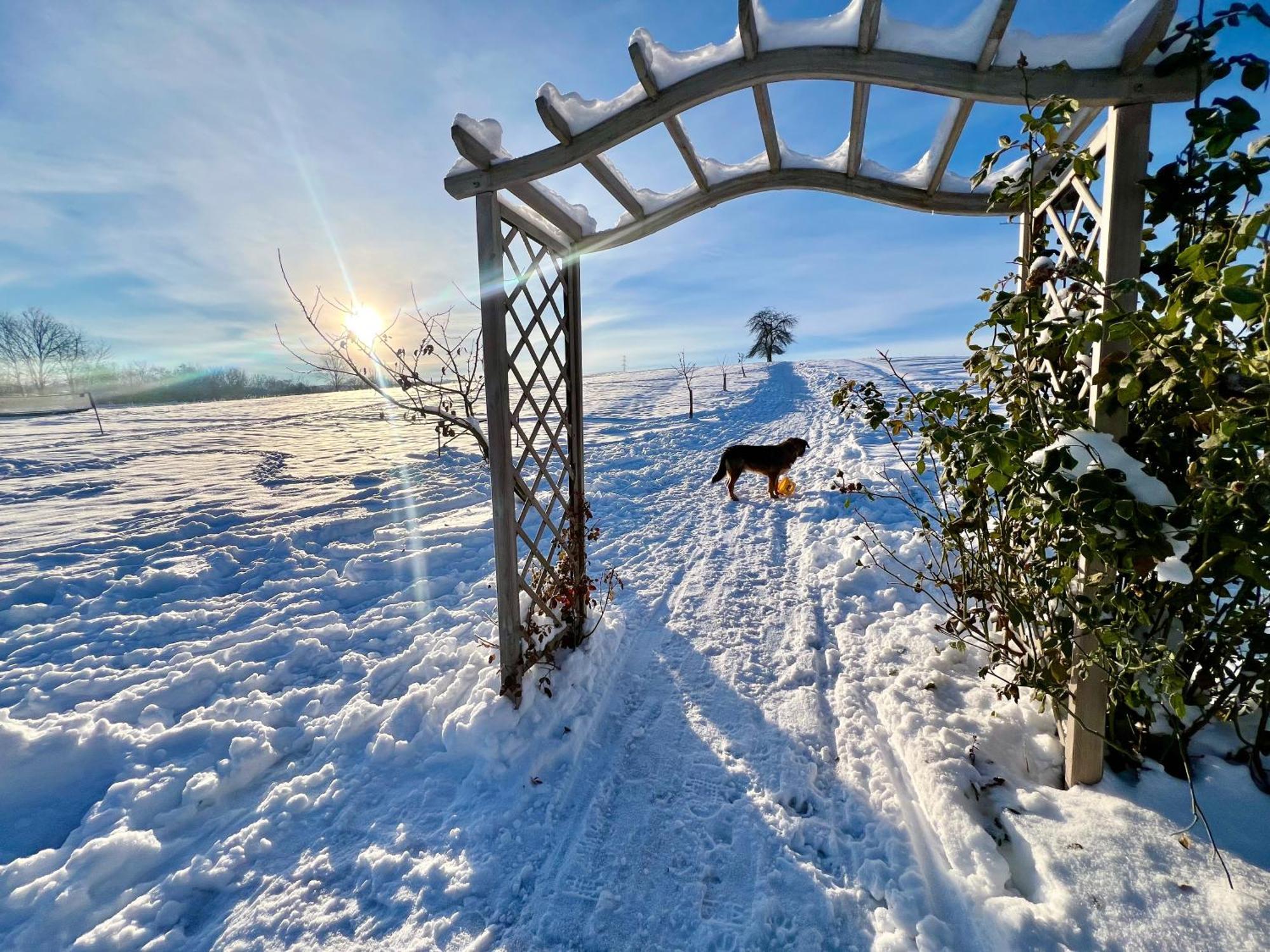 Villa Greta Świerzawa Exteriér fotografie